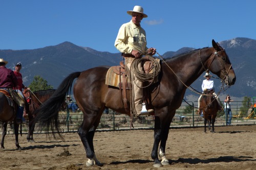 2011-07-13-buckstill5.jpg