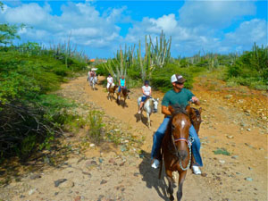 2011-07-20-3AHorsebackRidingintheCactusForestOutOnIsland.jpeg