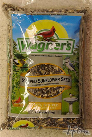 2011-08-07-pr2anthonysunflowerseeds.jpg