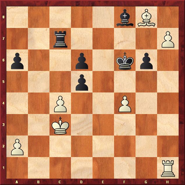 Perfect Chess Game By An UNKNOWN Player