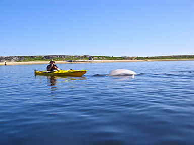 2011-08-16-kayak.jpg