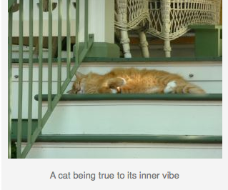 2011-08-18-Captionedcat.png