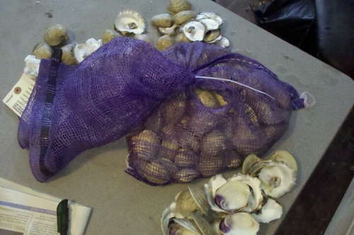 2011-09-12-clams.jpg