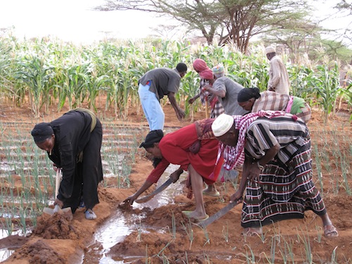 2011-09-30-Canalirrigationwomenworking.JPG