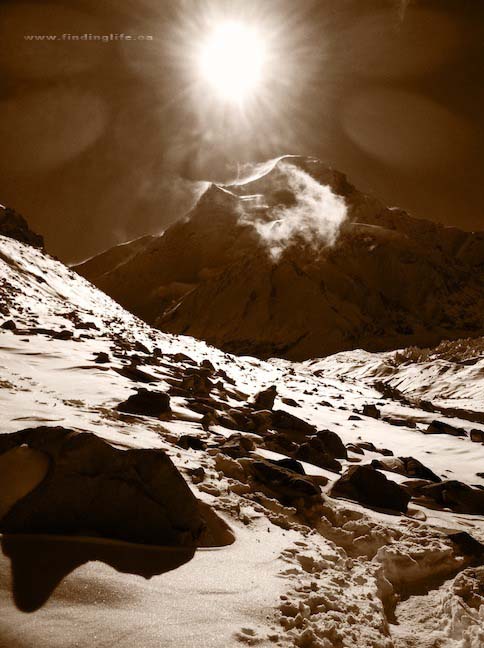 2011-09-30-MONEYSHOT_CHOOYU.jpg