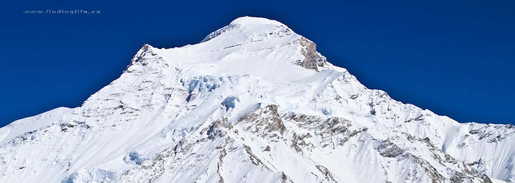 2011-09-30-THESUMMIT.jpg