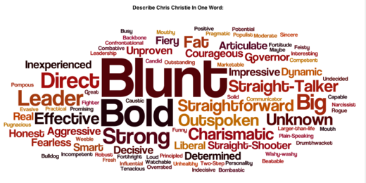 2011-10-04-Blumenthal-christiewordlelarge.png