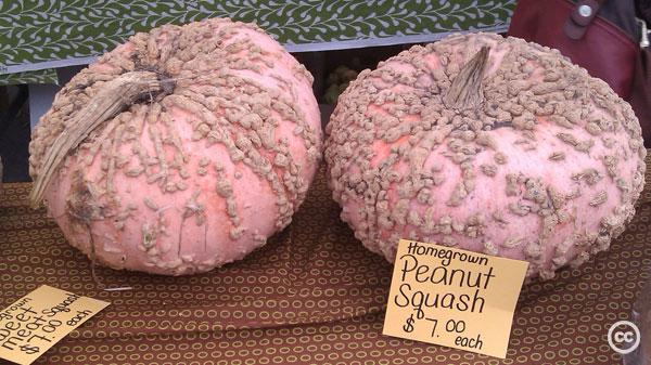 2011-10-16-FarmersMarketPeanutSquash.jpg