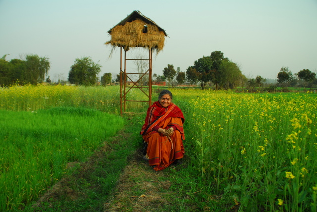 2011-12-20-VandanaShiva.jpg