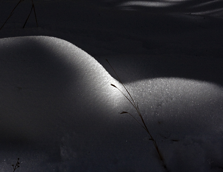 2011-12-31-ShadowedSnowbank6x4.5Huff.jpg