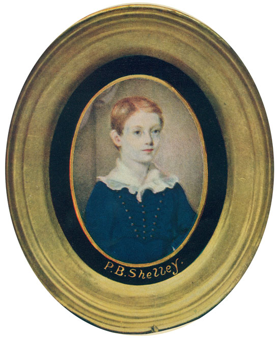 2012-01-09-images-shelley_miniature_repro_ma8.jpg