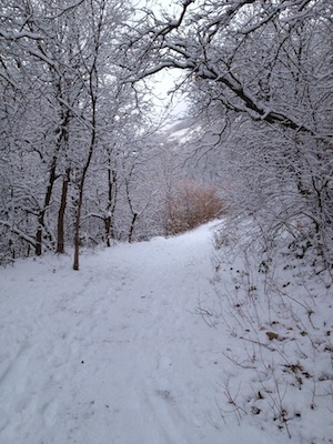 2012-01-11-Winterwonderland.jpg