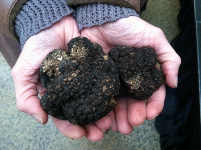 2012-01-19-handfulloftruffles.jpg