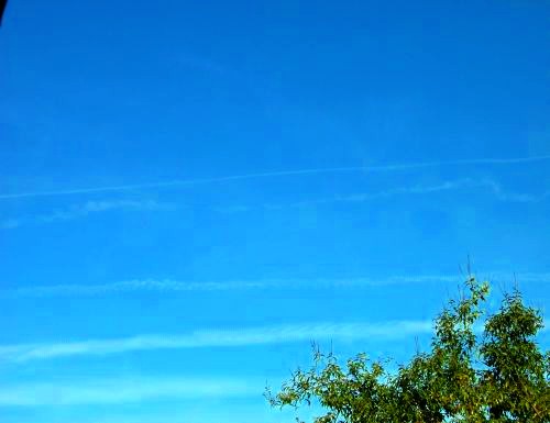 2012-01-20-STRIPEDSKIES.jpg