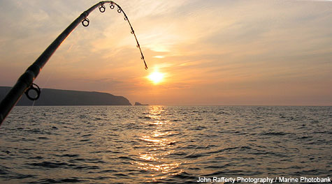 fishing pole at sunset