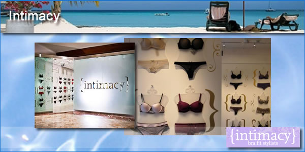 2012-01-30-IntimacyPanel1.jpg