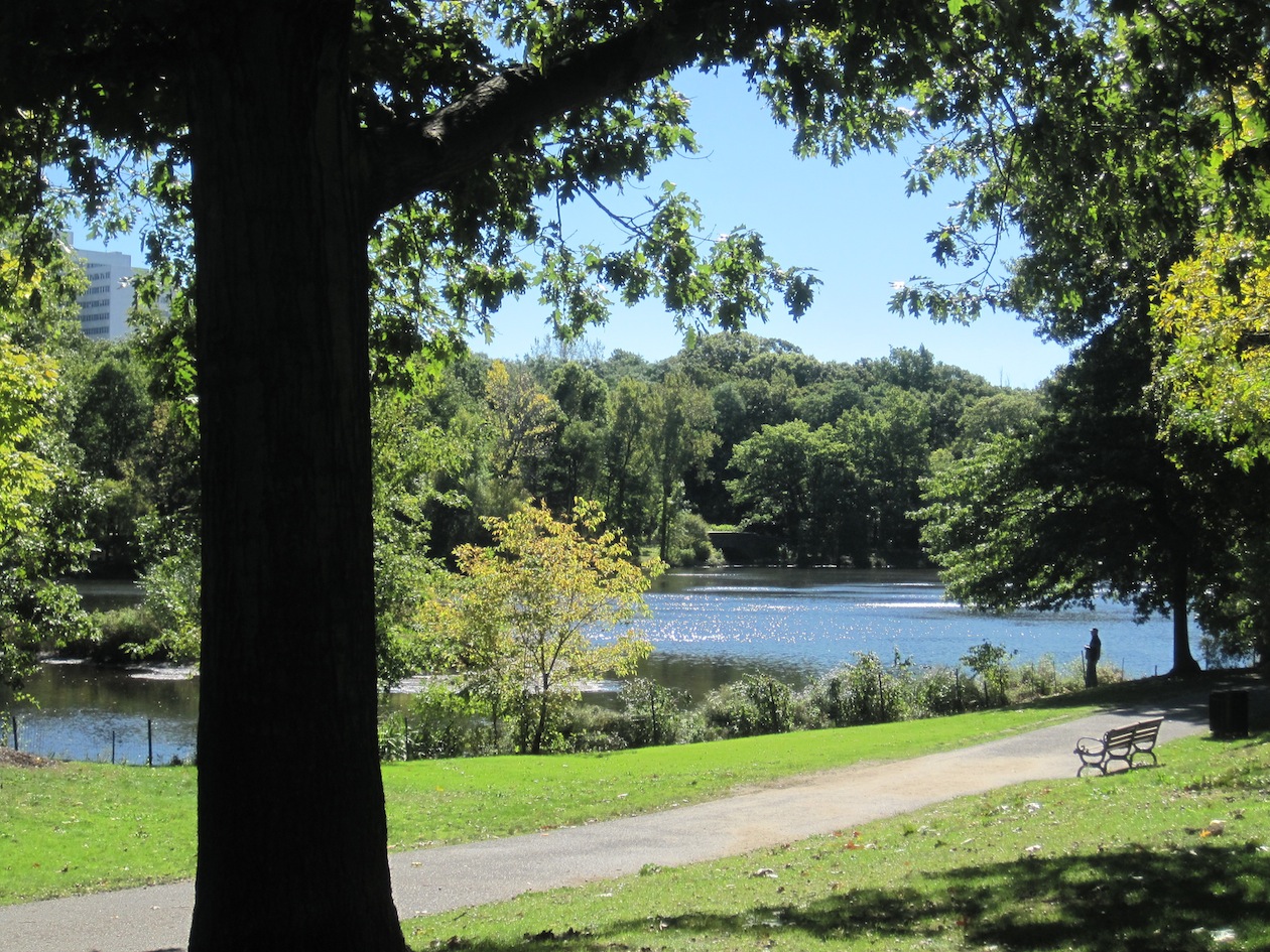 City Shaping V: Can Philanthropy for Boston's Parks Break Through the ...