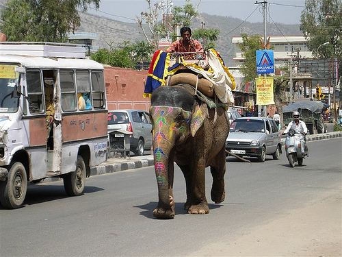 2012-01-31-jaipur_xiquinhosilva.jpg