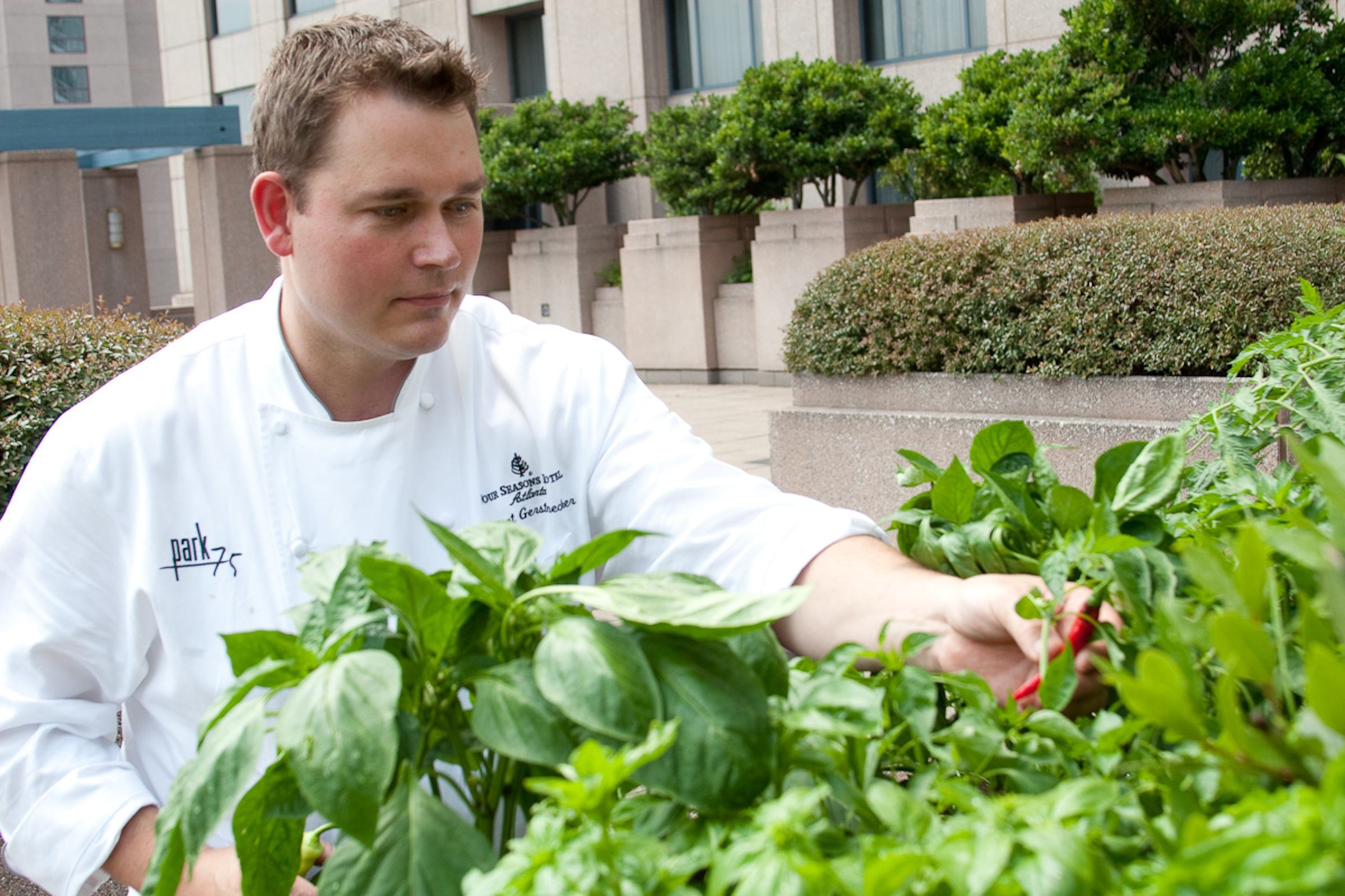 2012-02-20-Chef_Robert_Gerstenecker_Rooftop_Garden.jpg