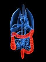 2012-03-03-colonoscopy.jpg