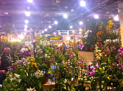 2012-03-05-500PhillyFlowerShow2.jpg