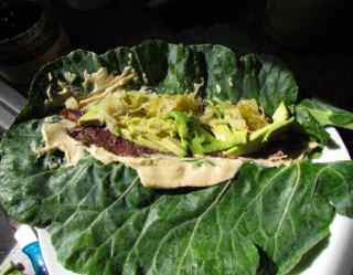 2012-03-13-filledcollard.jpg