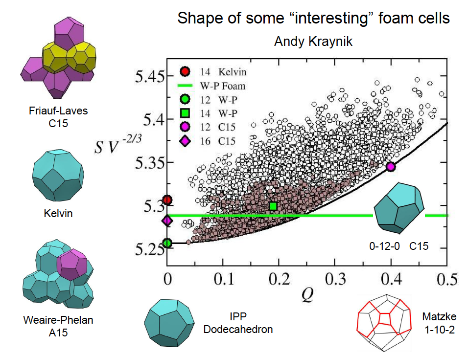 2012-03-22-KraynikCells.jpg