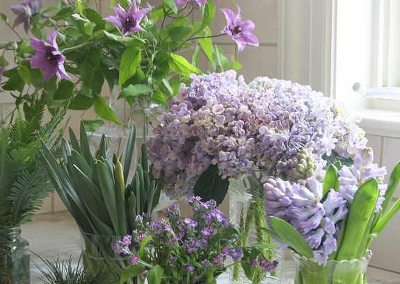 2012-03-22-flowerspurple.jpg