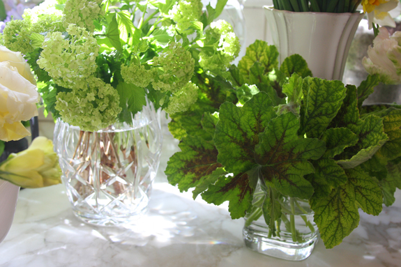 2012-03-22-whiteandgreenflowers.jpg