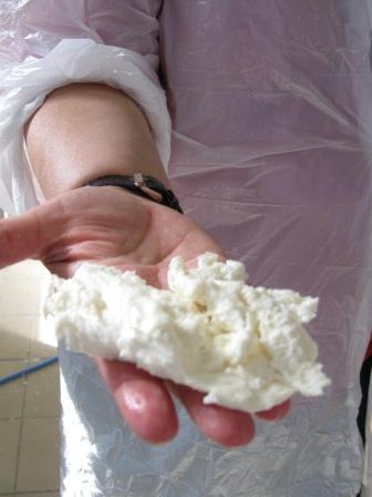 2012-03-26-handricotta2.JPG