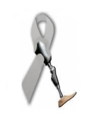 2012-03-26-limbmonthribbon.jpg