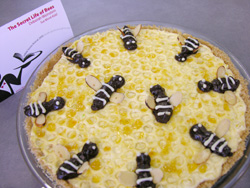 2012-03-30-bees.jpg