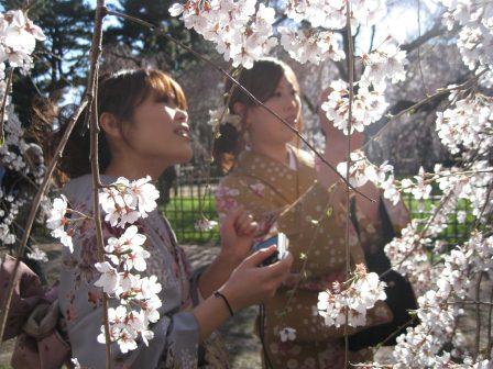 2012-04-08-twogeishas.jpg