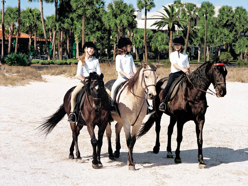 2012-05-02-1seaislandhorses