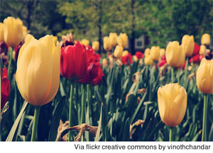 2012-05-02-floralmoms.jpg