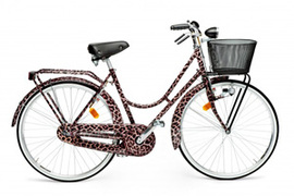 2012-05-03-09bike.jpg