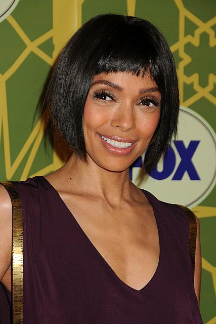 Tamara Taylor - Actress