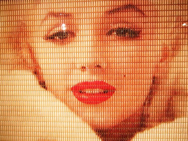 2012-05-10-MarilynCloseUpcomprisedof3000pillsencasedinplexiglassbyDesireObtainCherishakaJonathanPaul.JPG