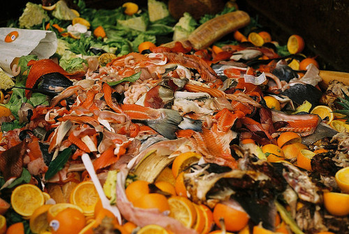 2012-05-11-foodwastethumb500x3356556.jpg