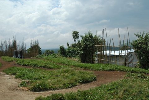 2012-05-28-jomba2009.jpg