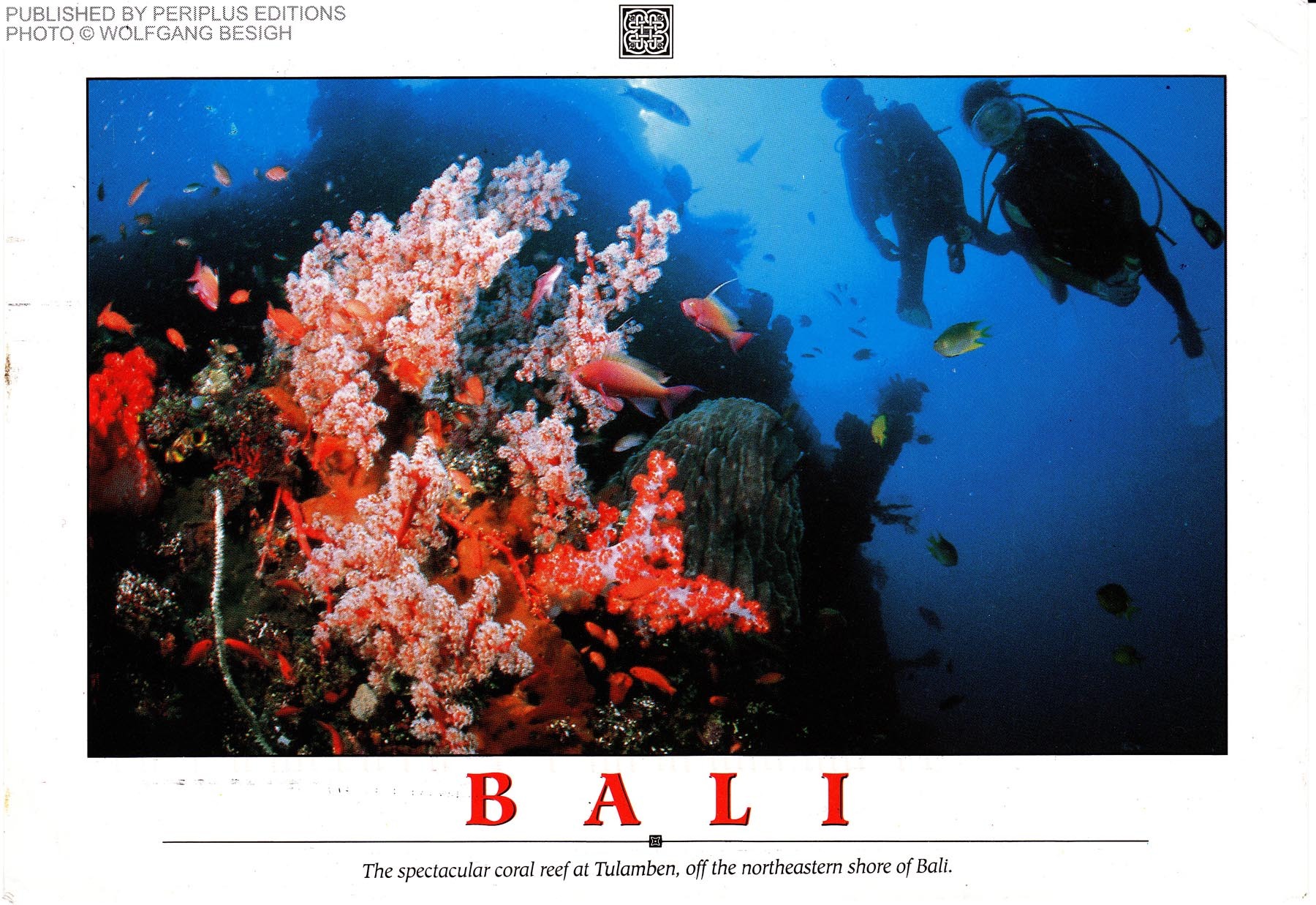 2012-05-29-BaliPostcardFront.jpg