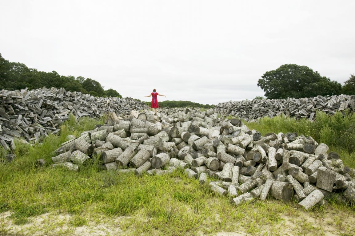 2012-06-12-bastienne_schmidt_the_red_dress_sagaponack_1024x768.jpg