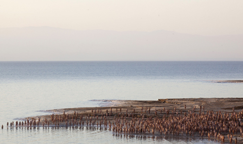 2012-06-13-20120611tunick_promo1.jpg