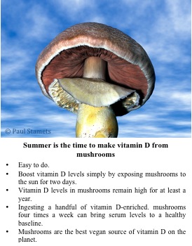 2012-06-28-mushrooms1.jpg
