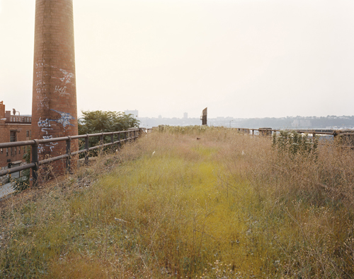 2012-07-06-JoelSternfeld.jpg