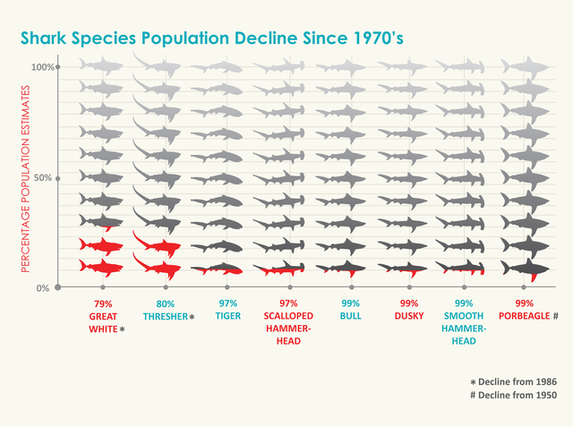 2012-07-10-sharkspeciespopulationdecline.png