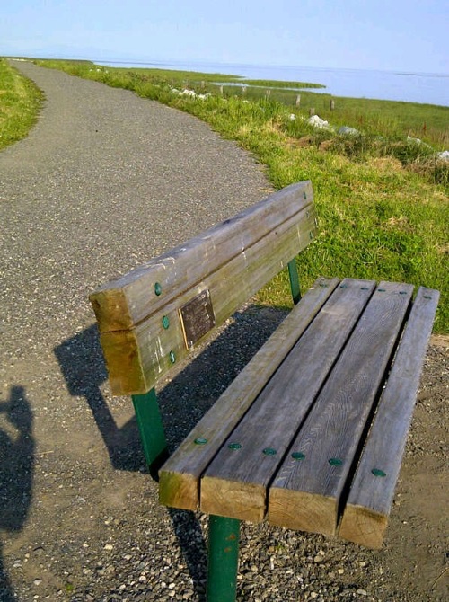 2012-07-12-benchnear.JPG