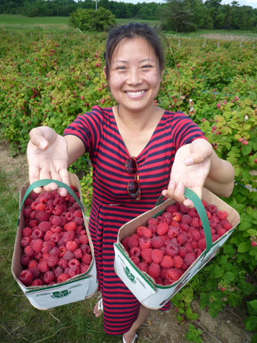 2012-08-11-raspberries.jpg