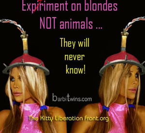 Famous for Something, Indeed: The Barbi Twins Take Tangible ...