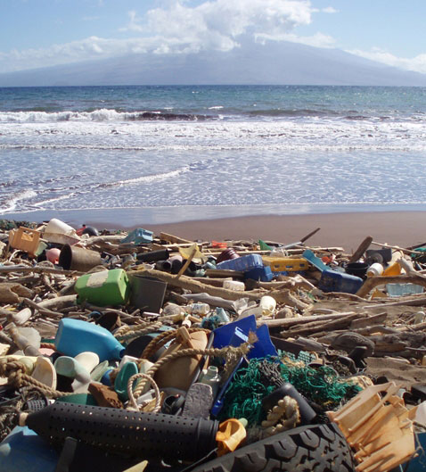 2012-08-23-RS9599_trash_plastic_beach_NOAA_FPWC_commercial_use_ok.jpg